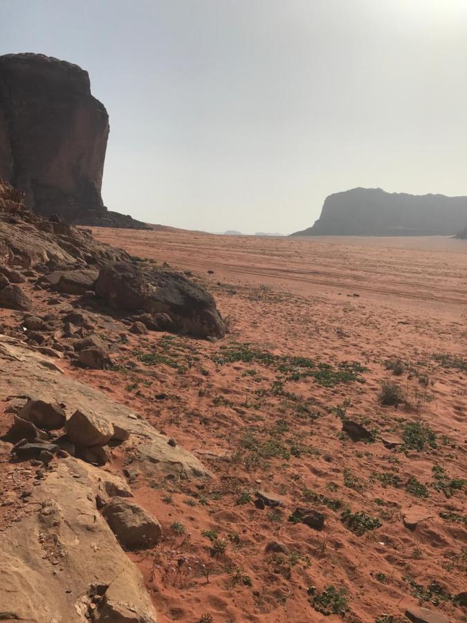 Bedouin House Camp Hotel Wadi Rum Exterior photo