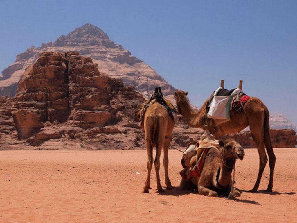 Bedouin House Camp Hotel Wadi Rum Exterior photo